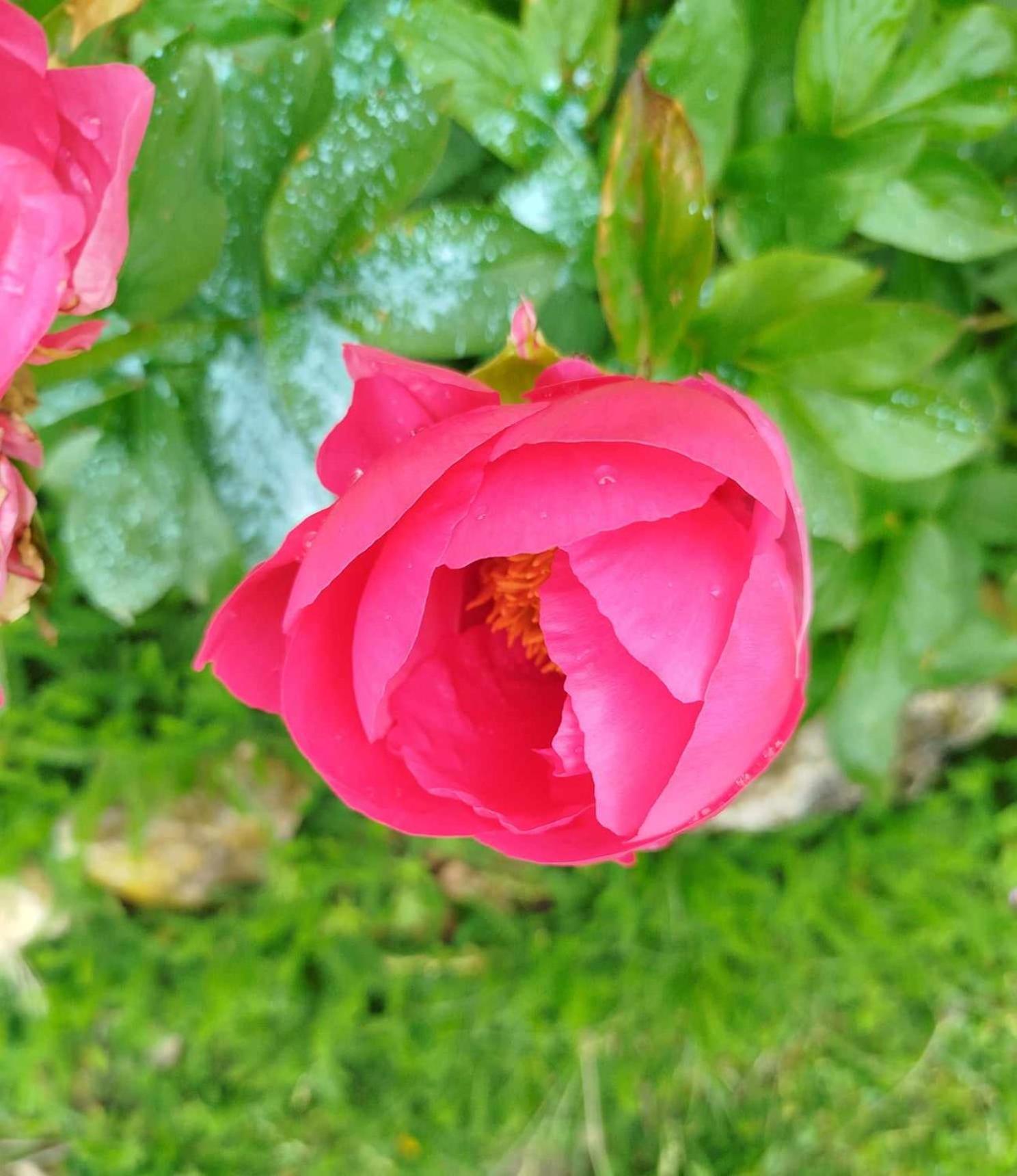 Gite Des Fours Agonges Exteriör bild