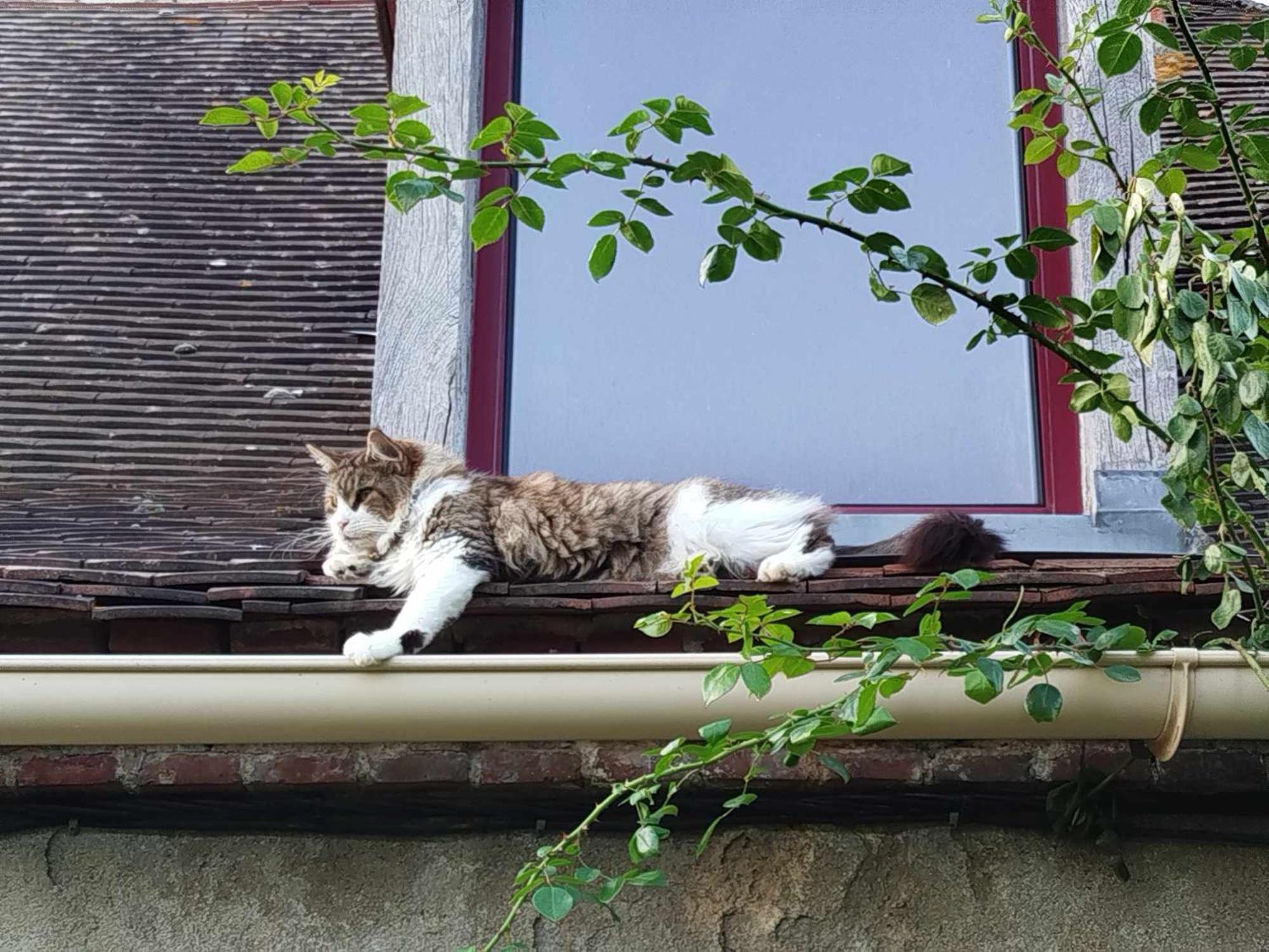 Gite Des Fours Agonges Exteriör bild